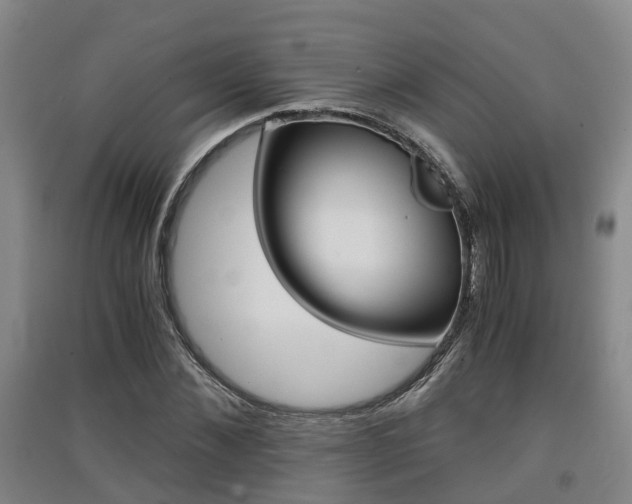 X0000091550876200708171039