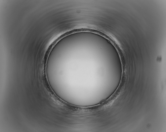 X0000091550877200708171039