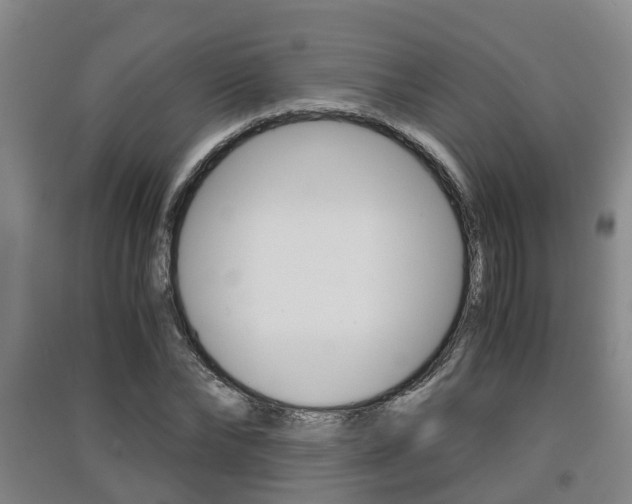 X0000091550878200708171039