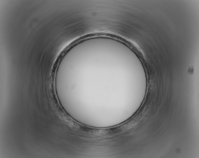 X0000091550879200708171039