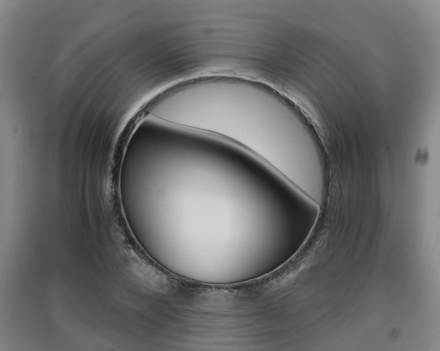 X0000091550880200708171039