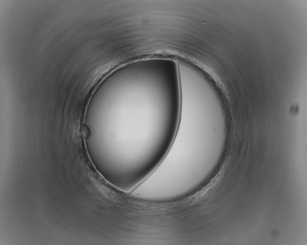 X0000091550881200708171039