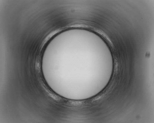 X0000091550882200708171039