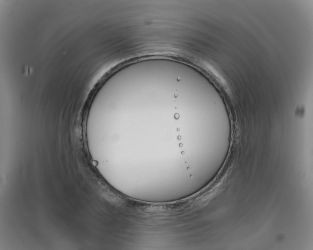 X0000091550883200708171039