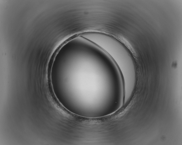 X0000091550884200708171039