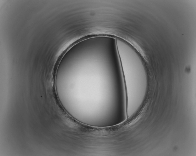 X0000091550885200708171039