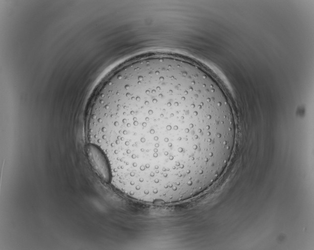 X0000091550887200708171039