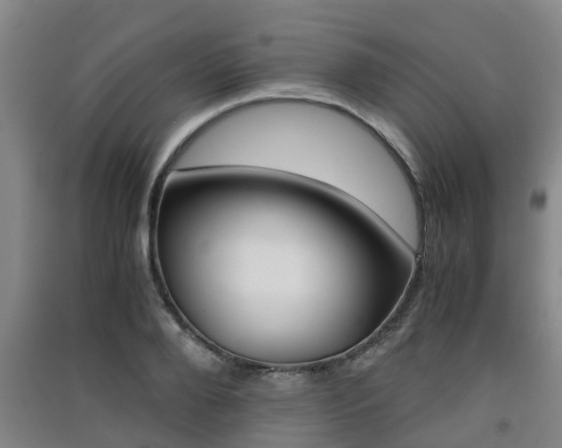 X0000091550888200708171039