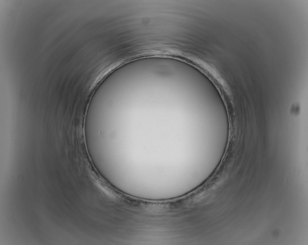 X0000091550889200708171039
