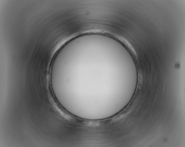 X0000091550890200708171039