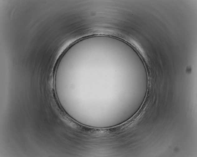 X0000091550891200708171038
