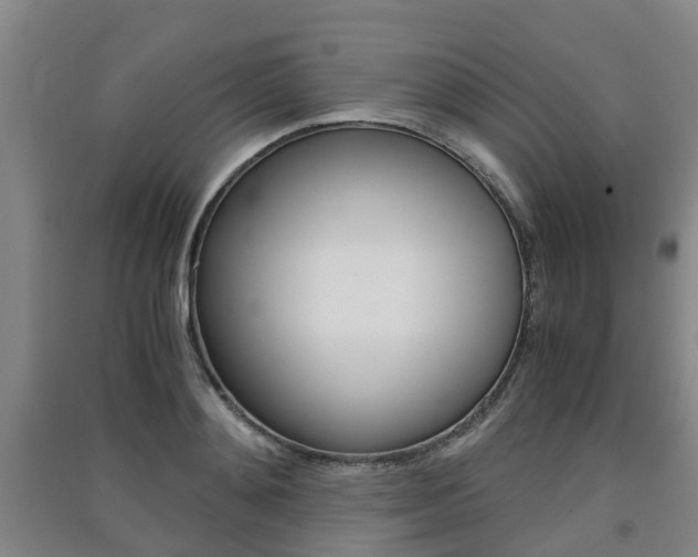X0000091550892200708171038