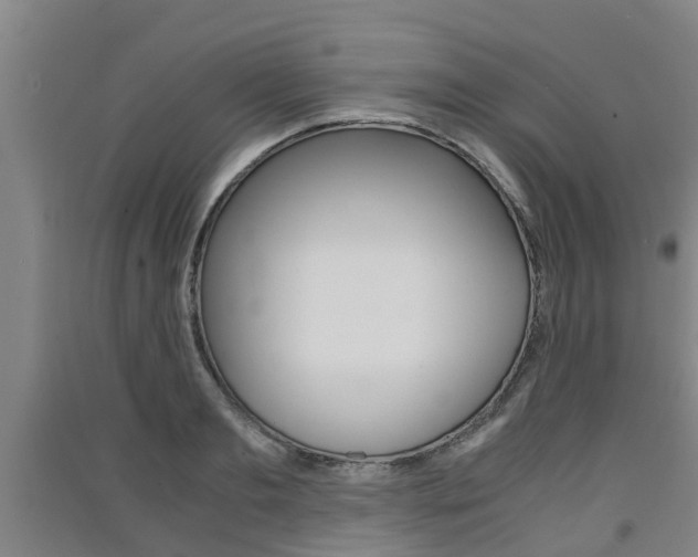 X0000091550893200708171038