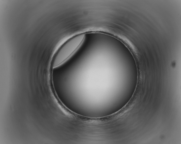 X0000091550894200708171038