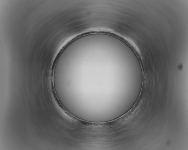 X0000091550895200708171038
