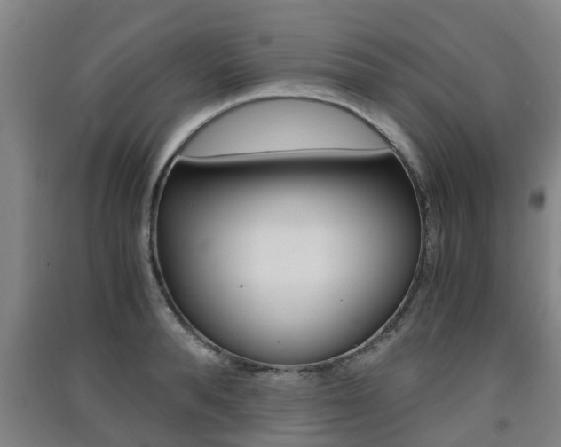 X0000091550896200708171038
