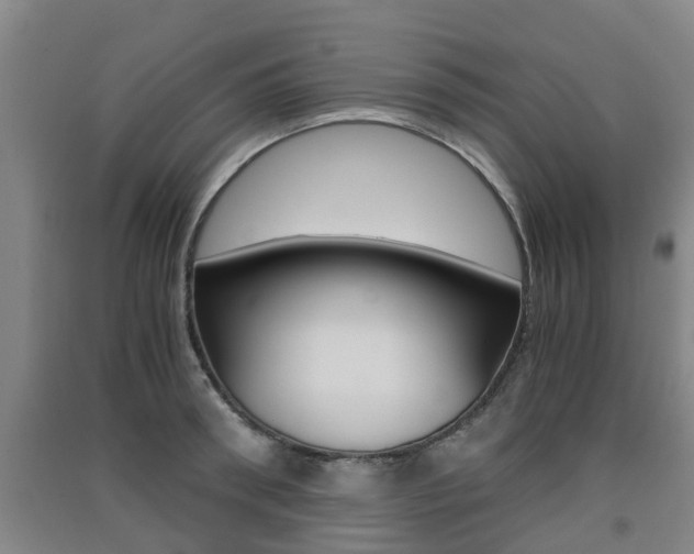 X0000091550898200708171038