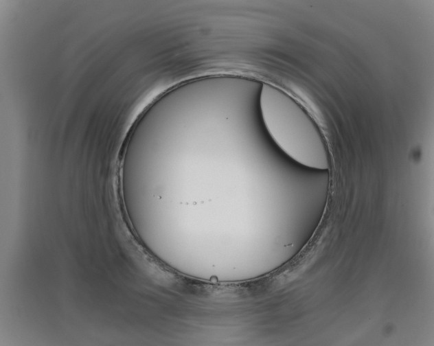 X0000091550899200708171038