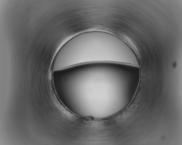 X0000091550900200708171038