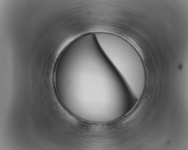 X0000091550901200708171038