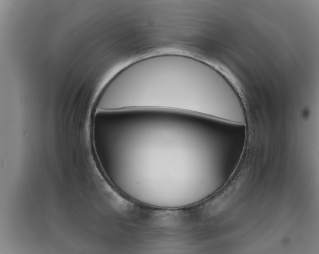 X0000091550902200708171038