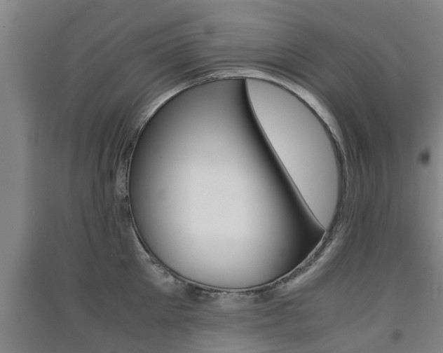 X0000091550905200708171038