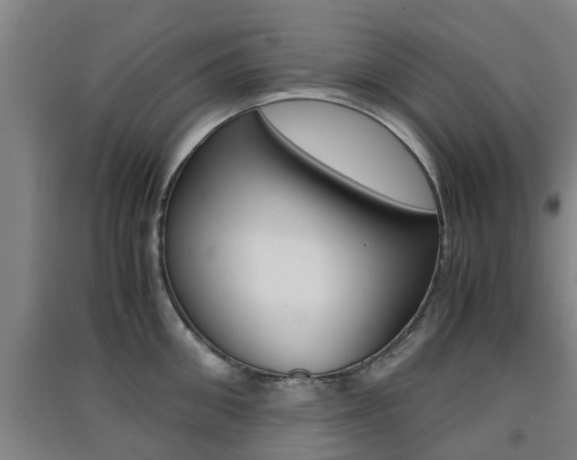 X0000091550906200708171038