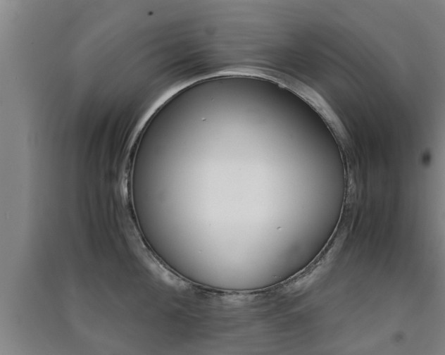 X0000091550908200708171038