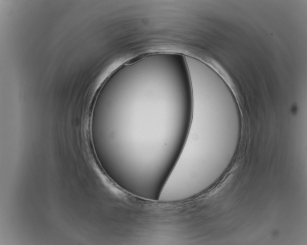 X0000091550909200708171038