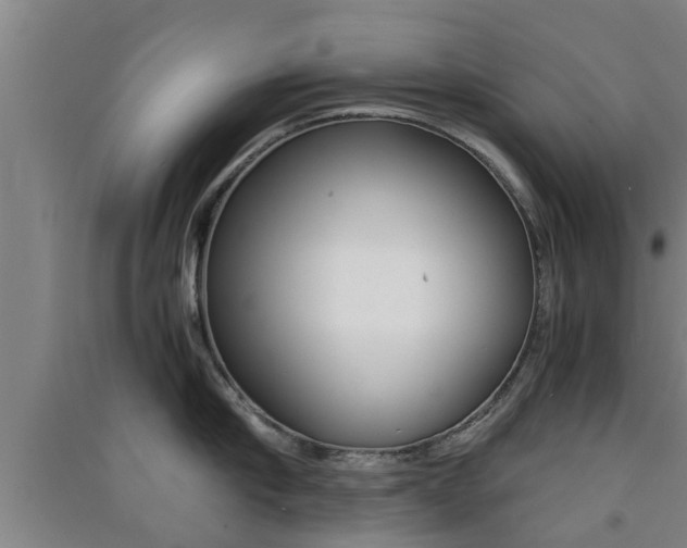 X0000091550910200708171038