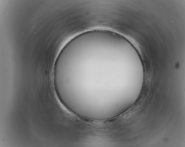 X0000091550911200708171038