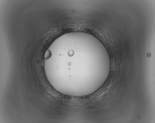 X0000091550913200708171038