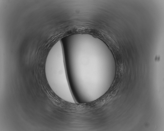 X0000091550914200708171038