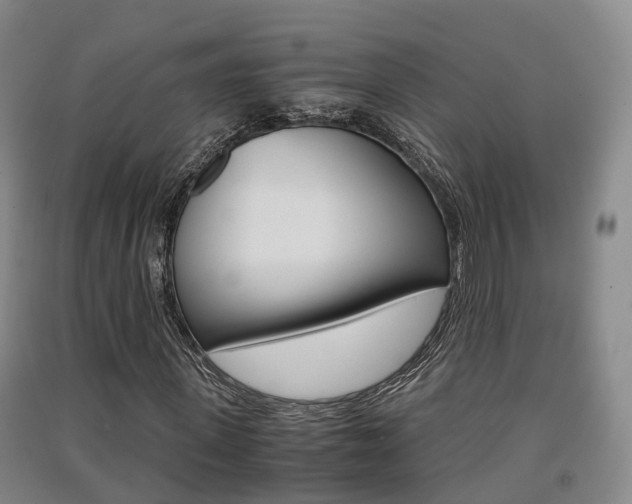X0000091550915200708171038