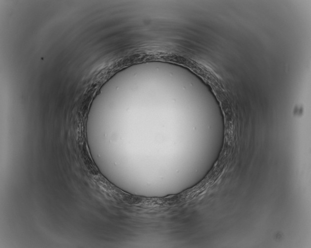 X0000091550917200708171038