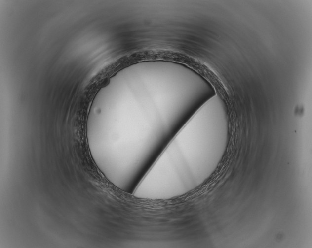 X0000091550919200708171038