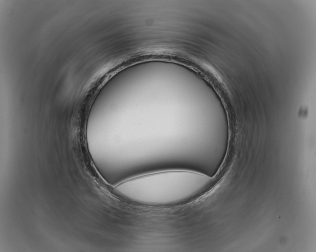 X0000091550922200708171038