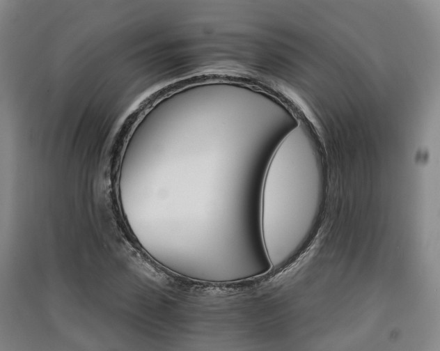 X0000091550923200708171038