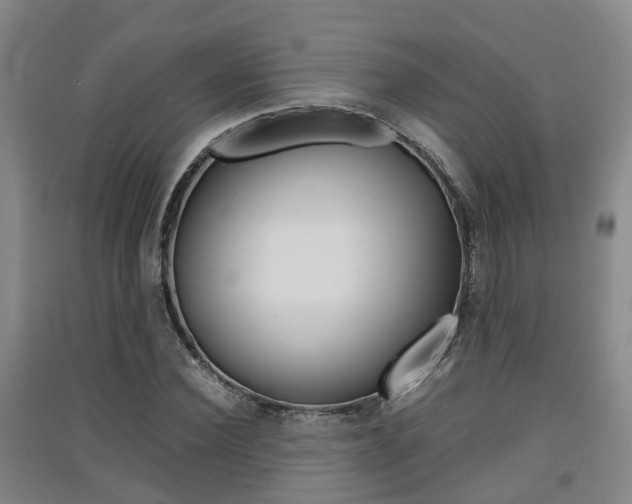 X0000091550924200708171038