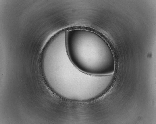 X0000091550926200708171038