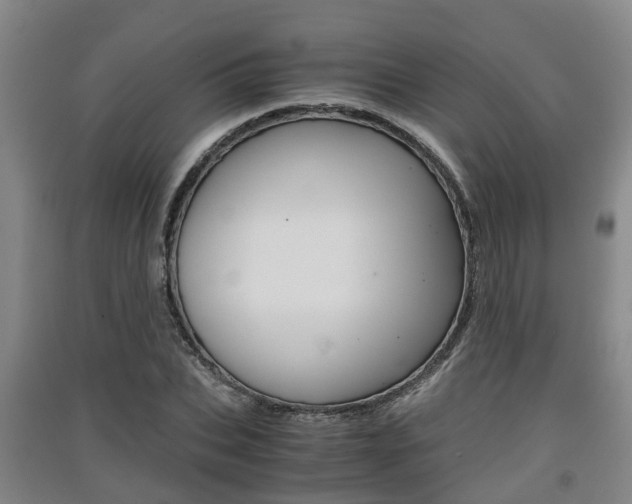 X0000091550927200708171038