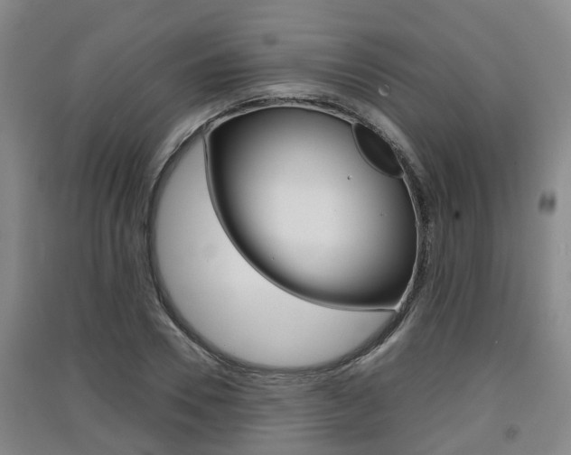 X0000091550930200708171038