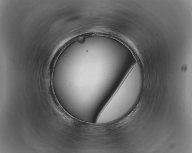 X0000091550931200708171038