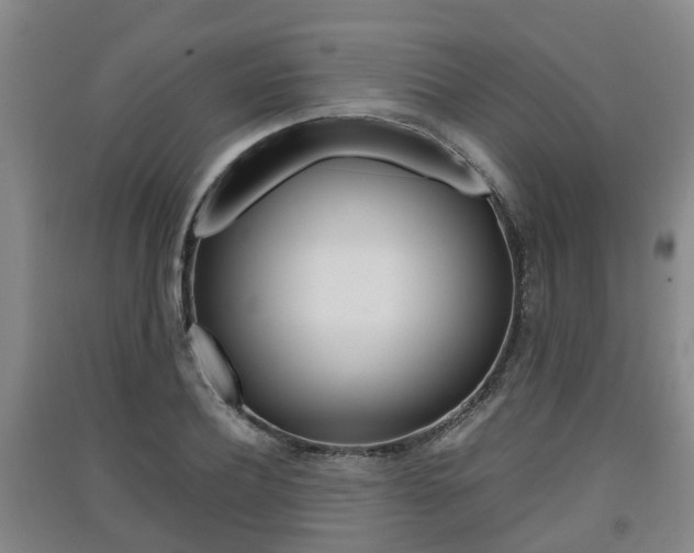 X0000091550932200708171038