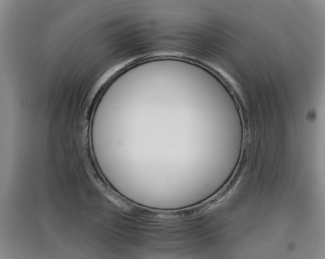 X0000091550933200708171038