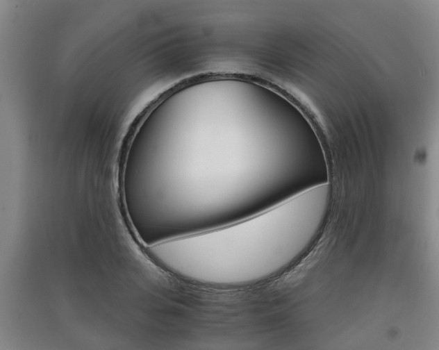 X0000091550935200708171038