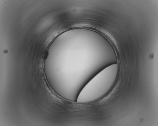 X0000091550937200708171038