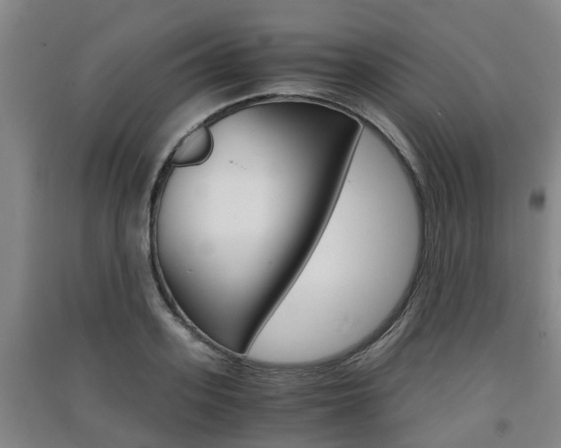 X0000091550939200708171038
