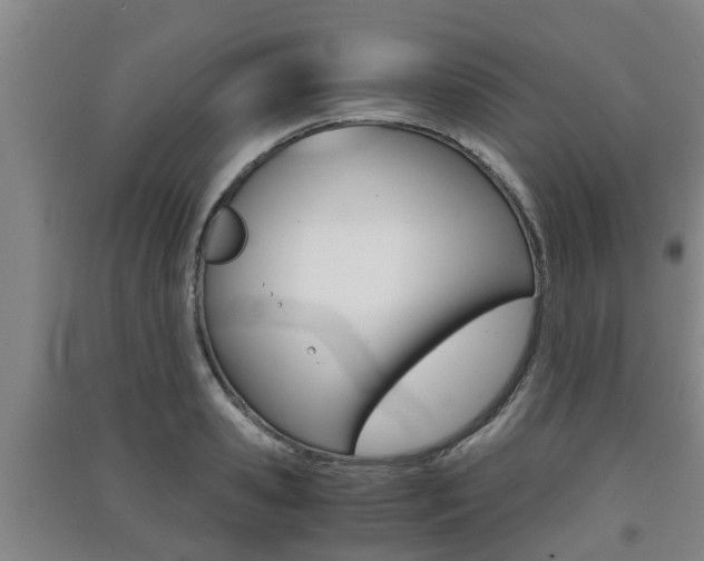 X0000091550941200708171038