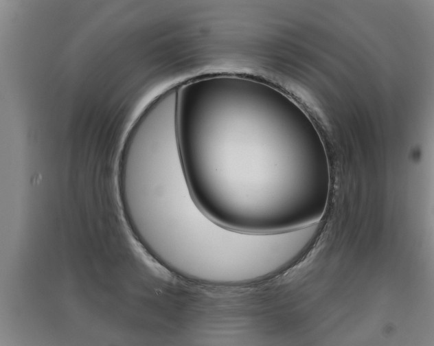 X0000091550942200708171038